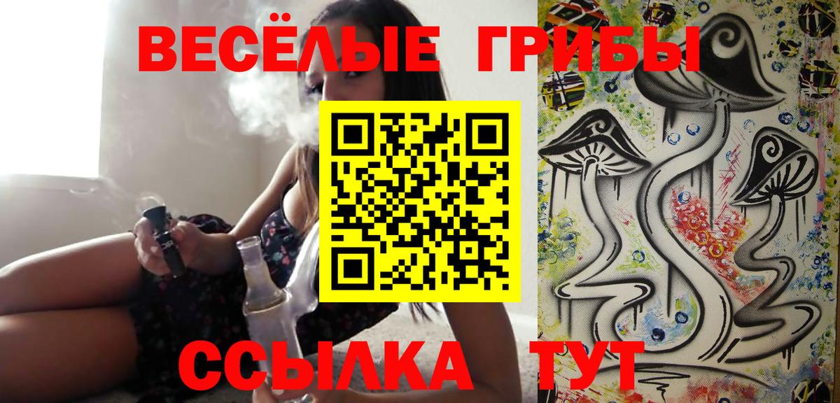 Галлюциногенные грибы Psilocybe Славгород