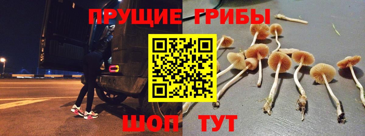 Галлюциногенные грибы MAGIC MUSHROOMS  Вход с VPN  Славгород 